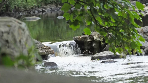 Voda Teče Pomalu Řece Glenarm — Stock fotografie