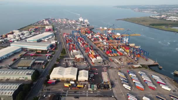 Aerial Video Belfast Container Dockyards Northern Ireland — ストック動画