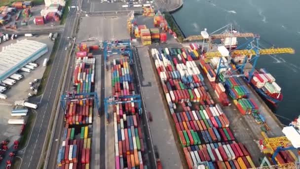 Aerial Video Belfast Container Dockyards Northern Ireland — ストック動画