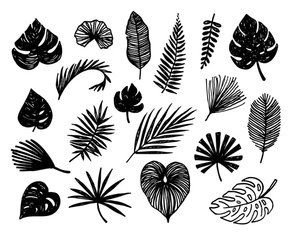 Sílhueta de folhas tropicais desenhadas à mão — Vetor de Stock