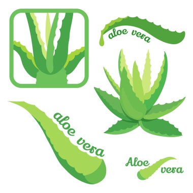 Aloe vera icon set clipart