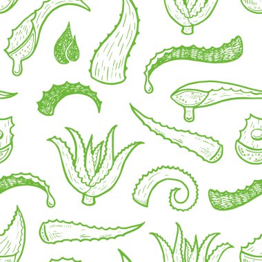 aloe vera yaprakları ile arka plan.