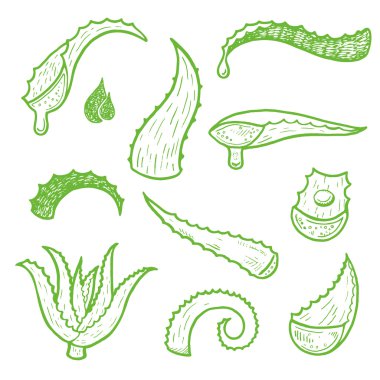 Aloe vera seti