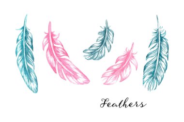 watercolor feathers set for your design clipart