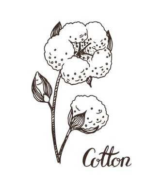 Elle çizilmiş pamuk