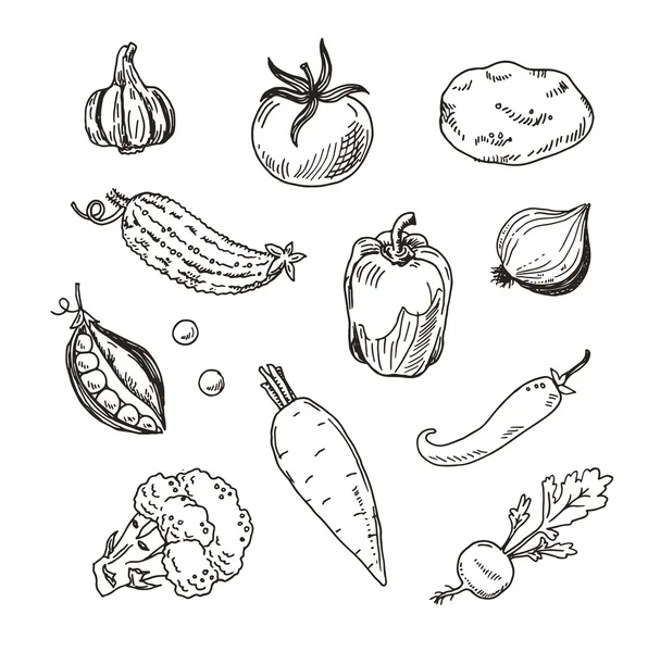 Набор набросков овощей — стоковый вектор
