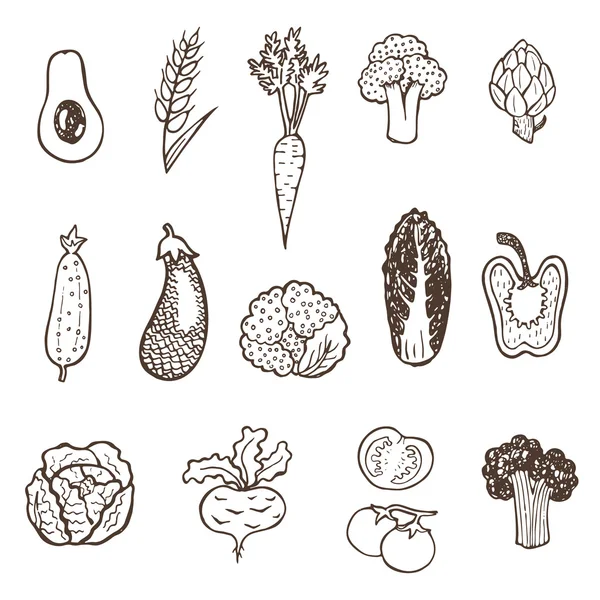 Collection de légumes dessinés à la main. — Image vectorielle