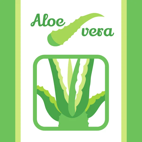 Set ikon vera Aloe - Stok Vektor