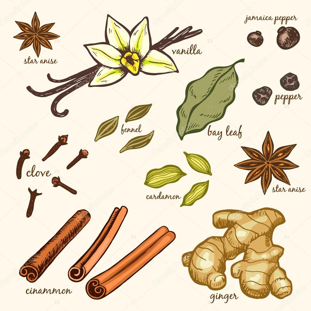 Seamless pattern of kitchen spices