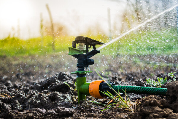 Closeup of sprinkler