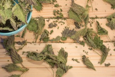 Kuru ısırgan yaprakları pot