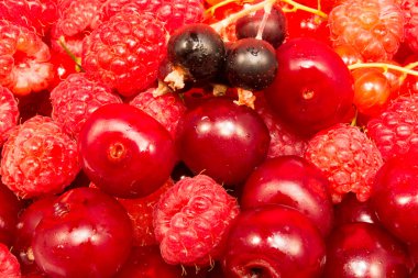 Kırmızı meyve closeup