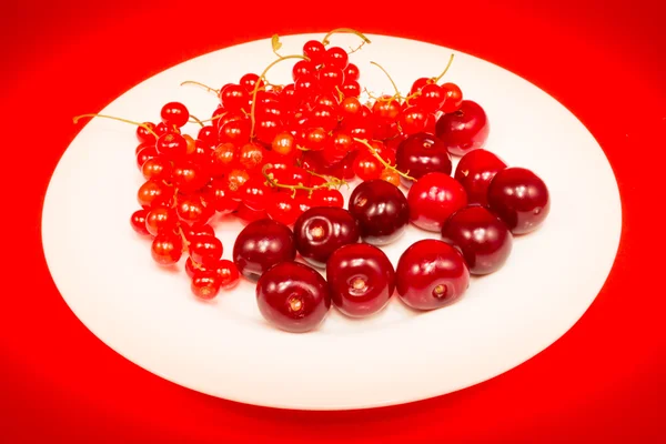 Fruta roja en plato blanco — Foto de Stock