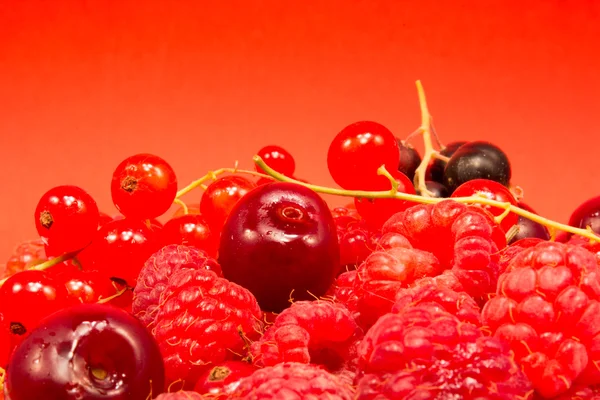 Frutos vermelhos no fundo vermelho — Fotografia de Stock