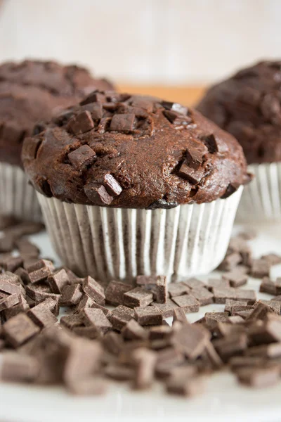 Chocolate cupcake covered with chocolate crumbs Stock Image