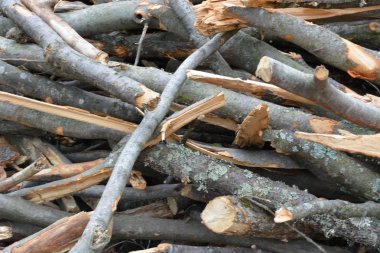 Dalları yığınları