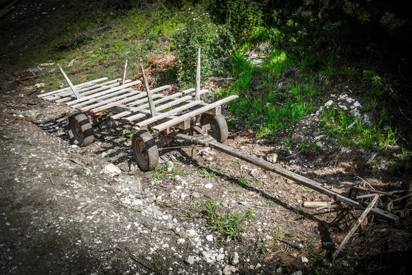 À espera do poder do cavalo — Fotografia de Stock