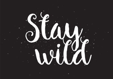 Stat vahşi yazıt. Hat sanatı ile tebrik kartı. Elle çizilmiş tasarım. Siyah ve beyaz.