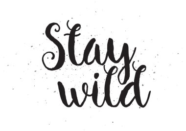 Stat vahşi yazıt. Hat sanatı ile tebrik kartı. Elle çizilmiş tasarım. Siyah ve beyaz.