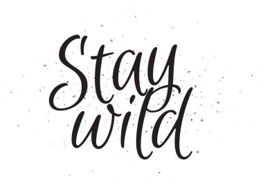 Stat vahşi yazıt. Hat sanatı ile tebrik kartı. Elle çizilmiş tasarım. Siyah ve beyaz.