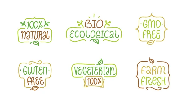 OGM e senza glutine, bio ecologico, set di elementi vegeteriani naturali. Lettere disegnate a mano. Bages o etichette per la progettazione del prodotto . — Vettoriale Stock