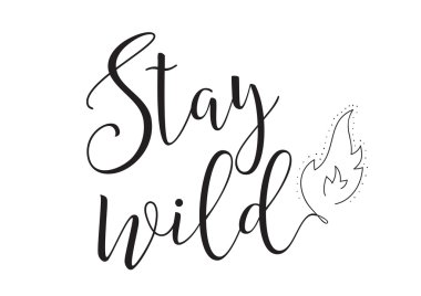 stay wild inscription. Greeting card with calligraphy. Hand drawn design elements. Black and white.