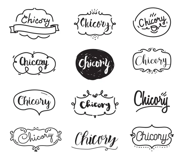 Chicory inscription. Logo set. Typography design. — Stock Vector