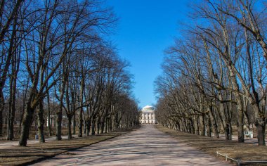 Bahar, Pavlovsky Parkı, Saint Petersburg