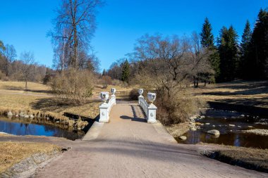 Bahar, Pavlovsky Parkı, Saint Petersburg