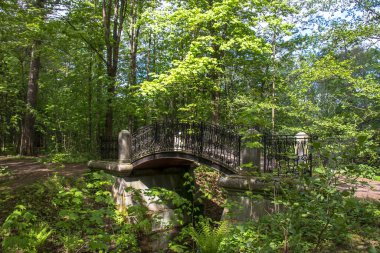 Sergievka Parkı 'nda bahar çiçekleri