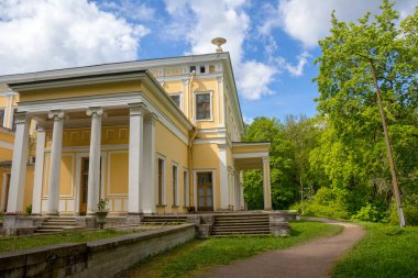 Sergievka Parkı 'nda bahar çiçekleri