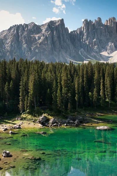 Firs orman ve kayalık dağ dağ gölü