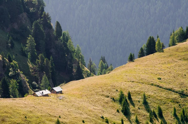 Dağ kulübe Dolomites'in eteklerinde bir yeşil çim üzerinde