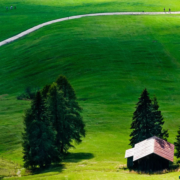 Golf sahası, Dolomites yeşil çim
