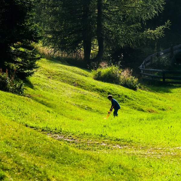 Dışarıda bir yeşil çimenlerin üzerinde oynayan çocuk