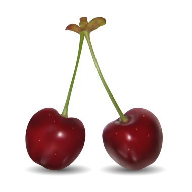 Pair of sweet cherries clipart