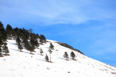 Elbrus Dağı 'ndaki kar ormanları, kayak merkezi, Kabardino-Balkaria Cumhuriyeti, Rusya.