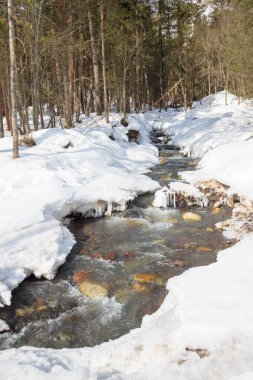 Dağları temizleyen kayalık nehir Baksan kışın hızlı akan nehirlerle Kaburdino-Balkar cumhuriyetindeki Elbrus kayak merkezindeki parkta