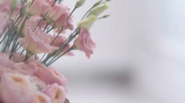 Muhteşem pembe çiçekler