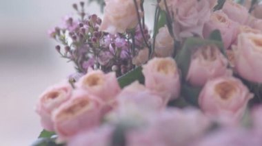 Muhteşem pembe çiçekler