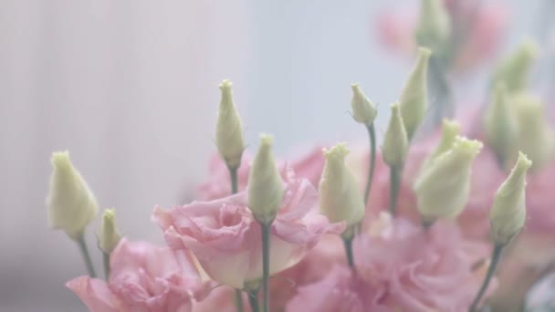 Gyönyörű rózsaszín virágok