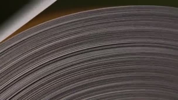Kraft kağıt imalatı — Stok video