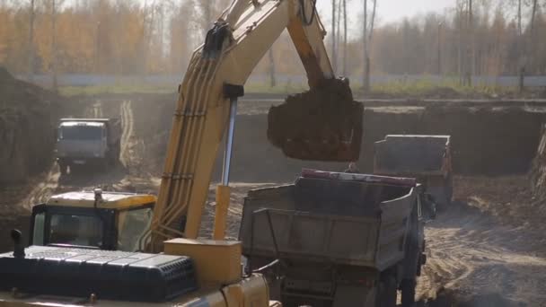 Graafmachine zand in een vrachtwagen laden — Stockvideo