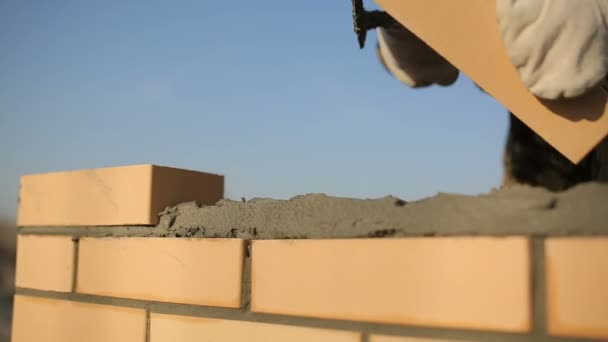 Maurer, der Ziegel verlegt, um eine Mauer zu bauen — Stockvideo