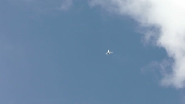 Russie, Novossibirsk, 31 juillet 2016 : L'avion SU effectue de la voltige — Video