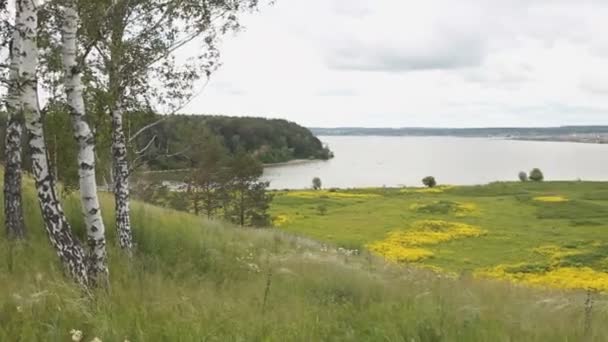 Vue sur la rivière depuis la colline. Riverbed. Prairie fleurie .