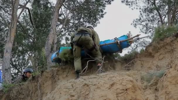 Russia, Siberia 2014: First aid to the nature. Victim on stretcher — Stock Video