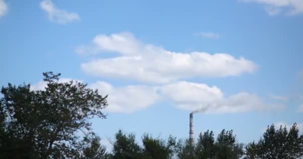 Lapso de tempo, o fumo sai da chaminé. Tubulação industrial — Vídeo de Stock