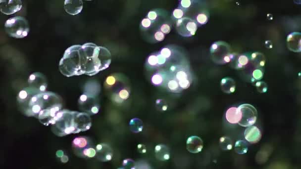 多くの小さな気泡が異なる方向に散乱します。石鹸の泡が示す. — ストック動画