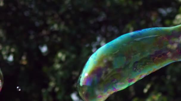 Grandes bulles aux couleurs chatoyantes de l'arc-en-ciel .